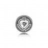 Pandora Essence Passion Charm 796081CZ