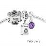 Pandora February Birthday Cake Birthstone Gift Set GS0057