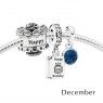 Pandora December Birthday Cake Birthstone Gift Set GS0067