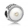 PANDORA Limited Edition Precious Heart Love Charm JSP0658 