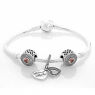 PANDORA Beloved Moments Complete Bracelet JSP0296 