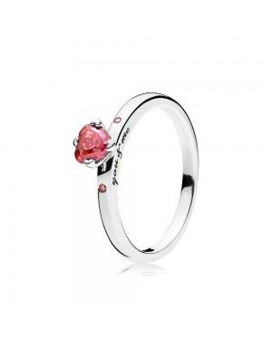 Pandora You And Me Ring 196574CZRMX