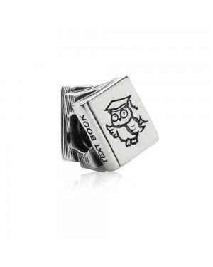 Pandora Study Book Charm 790536