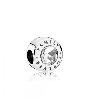 Pandora Forever Family Charm 791884CZ