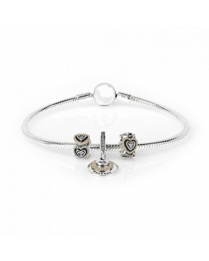 PANDORA You And Me Forever Love Complete Bracelet JSP0208 In Gold