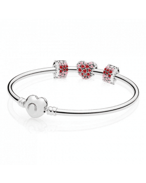 Pandora Burst Of Love Bracelet Gift Set GS0024
