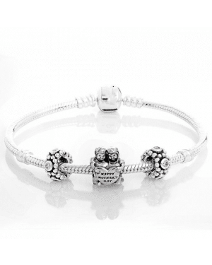 PANDORA Dear Mother Family Complete Bracelet JSP0361 In Silver