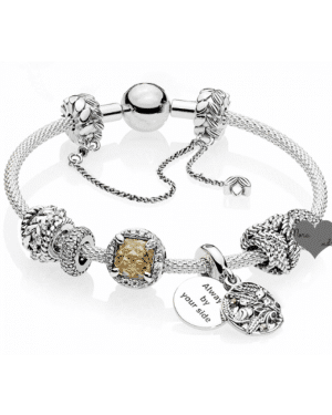 Pandora Harvest Collection Complete Bracelet GS0093