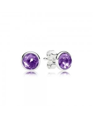 Pandora February Droplets Stud Earrings 290738SAM