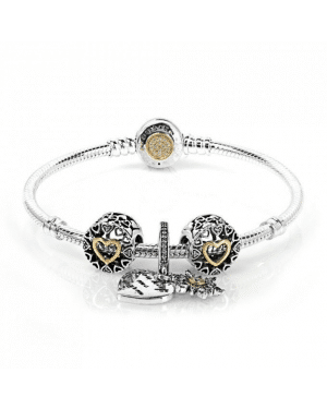 PANDORA Snowflake Heart Two Tone Love Complete Bracelet JSP0201 