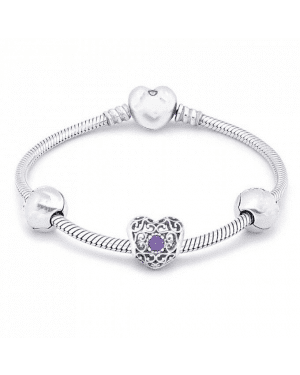 PANDORA February Birthstone Birthstone Complete Bracelet JSP0548 