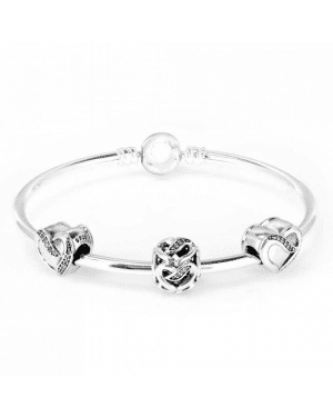 PANDORA Ribbons Of Love Complete Bangle JSP0187 With CZ 