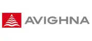 Avighna Group