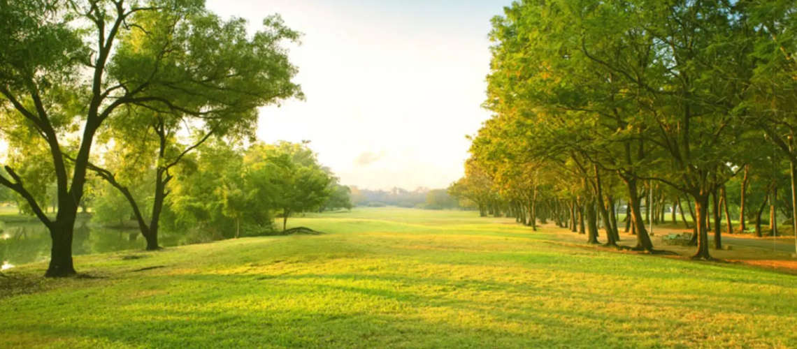 Supertech Hill Crest Sector 2 Gurgaon