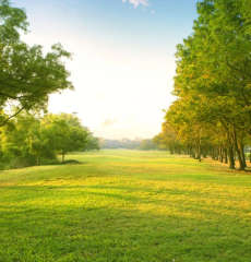 supertech-hill crest