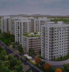 kolte-patil mirabilis