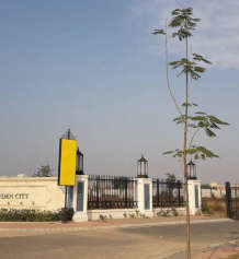 dlf-garden city