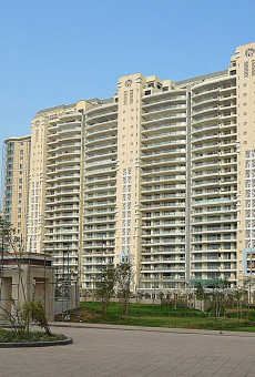 DLF Magnolias
