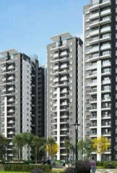 Provident Parkwoods