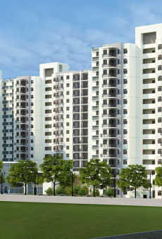 Akshaya Orlando