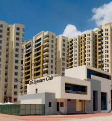kg-signature city