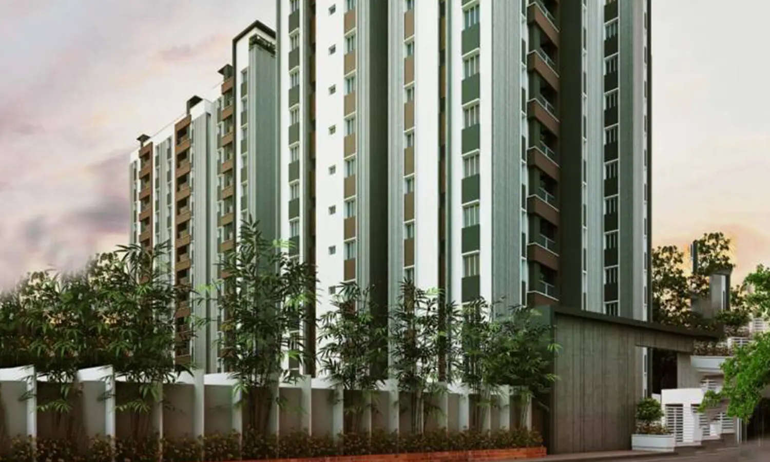Elevation Image