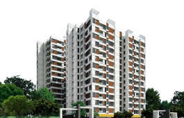 dra-pristine pavilion