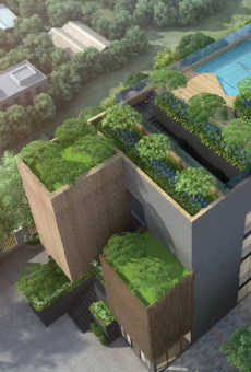 TVS Verdant Woods