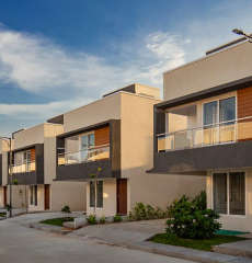 alliance-humming gardens