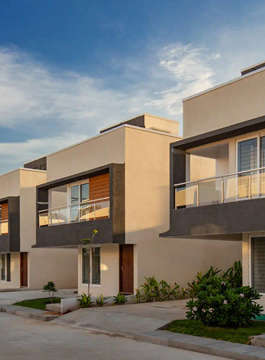 alliance-humming gardens