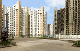 logix-group blossom green