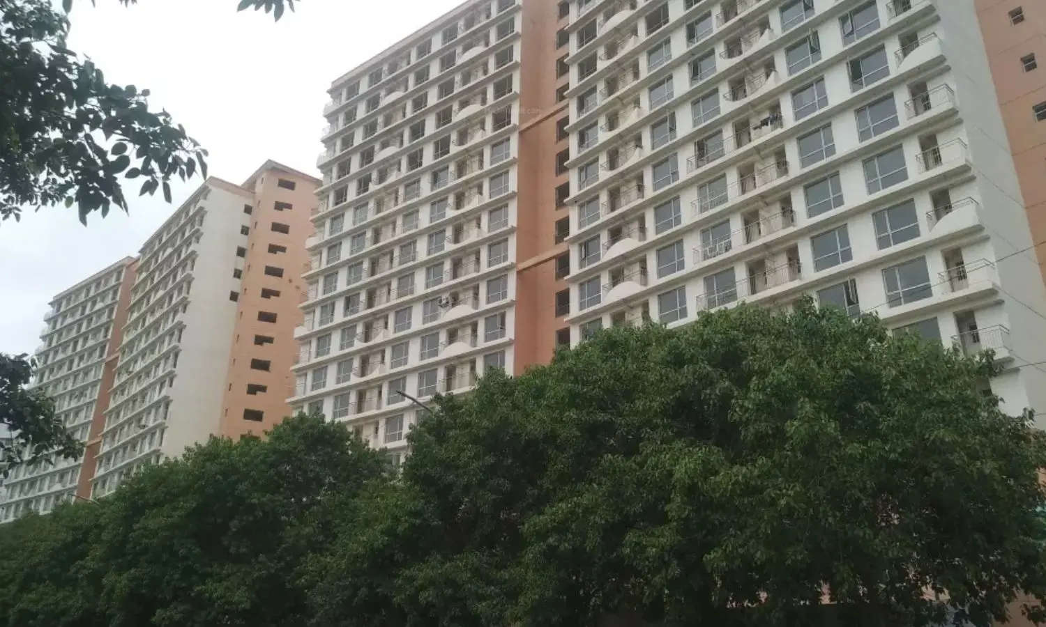 Elevation Image