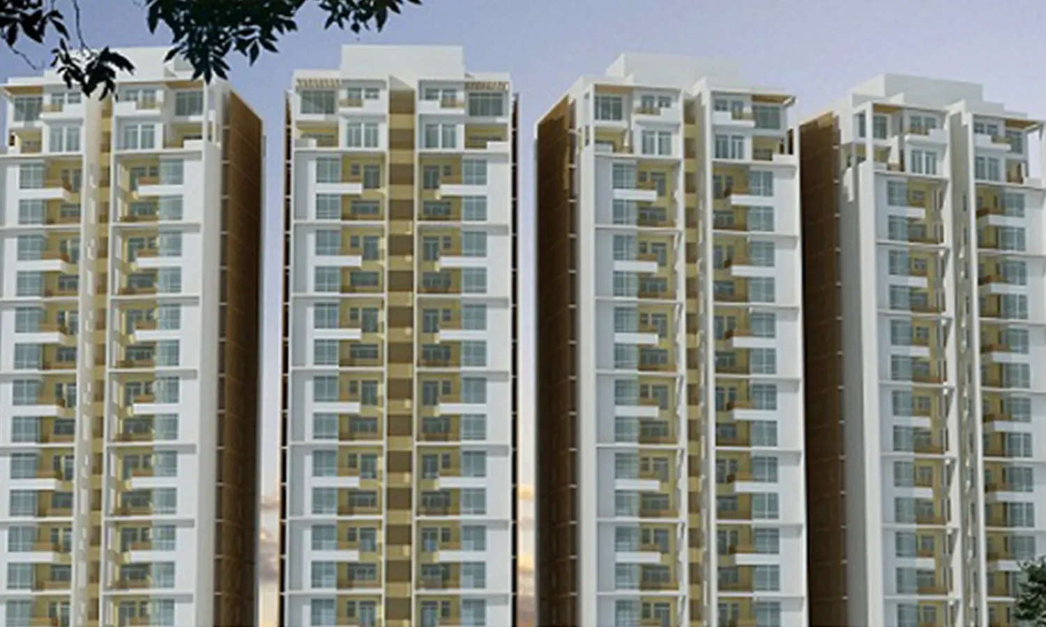 Elevation Image