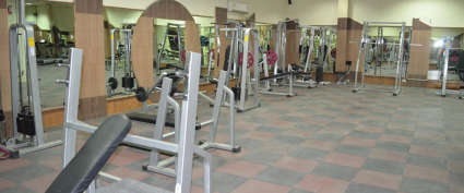 Amrapali Leisure Park Techzone IV Greater Noida W