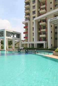 Purva High Crest