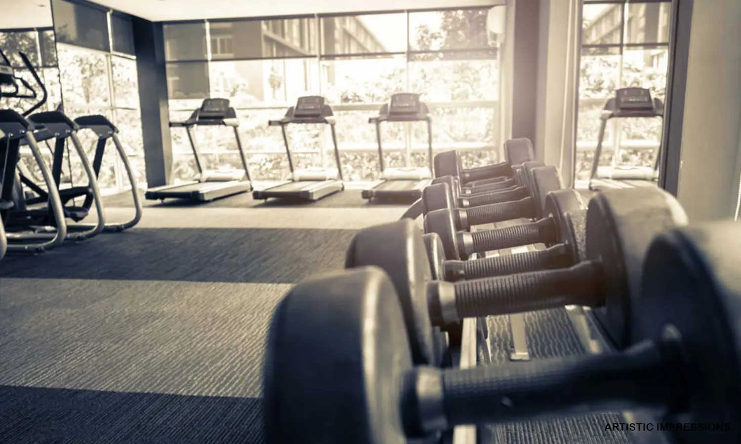 DLF Pinnacle Sector 43 Gurgaon - Gym
