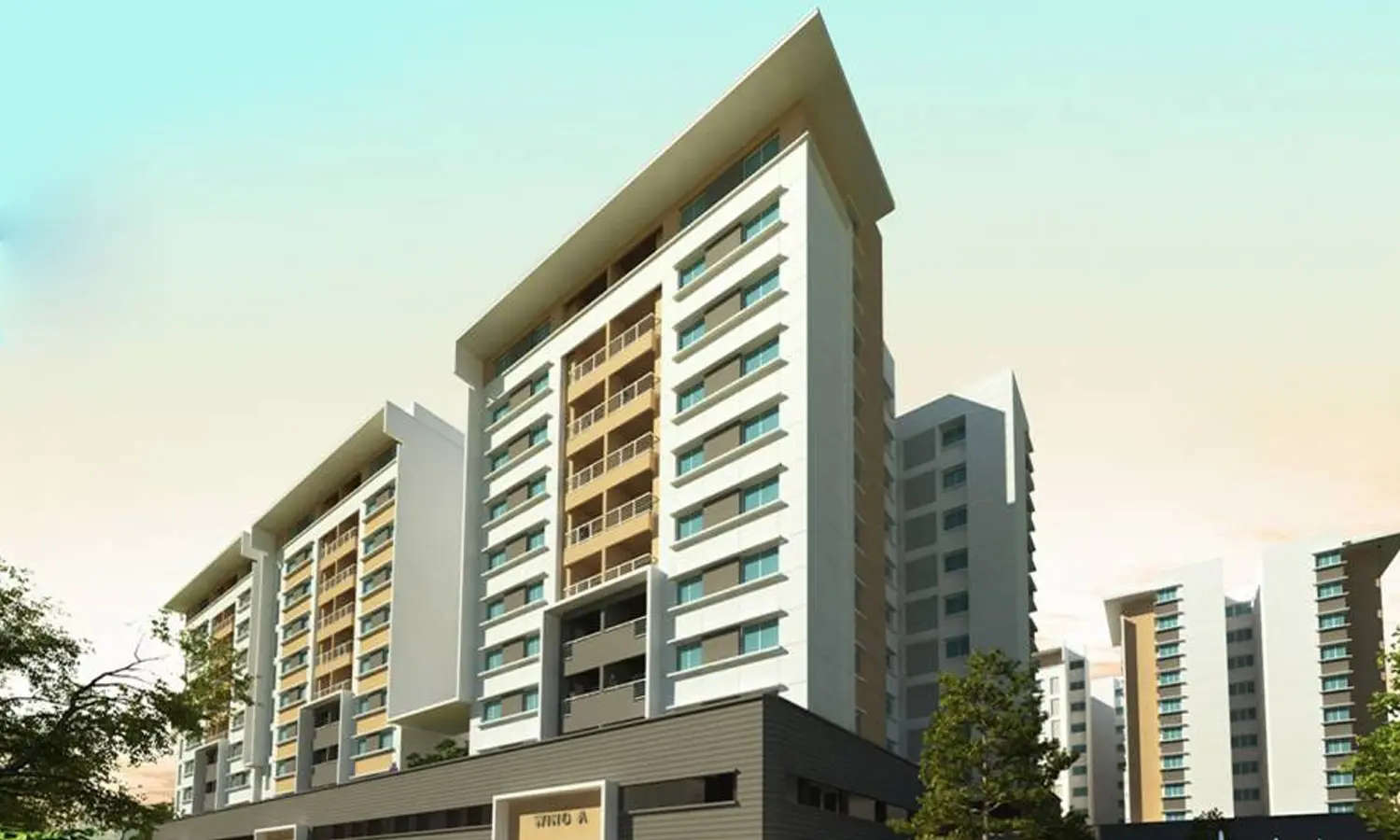 Elevation Image