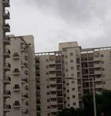 dlf-maiden heights