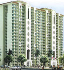 dlf-express greens
