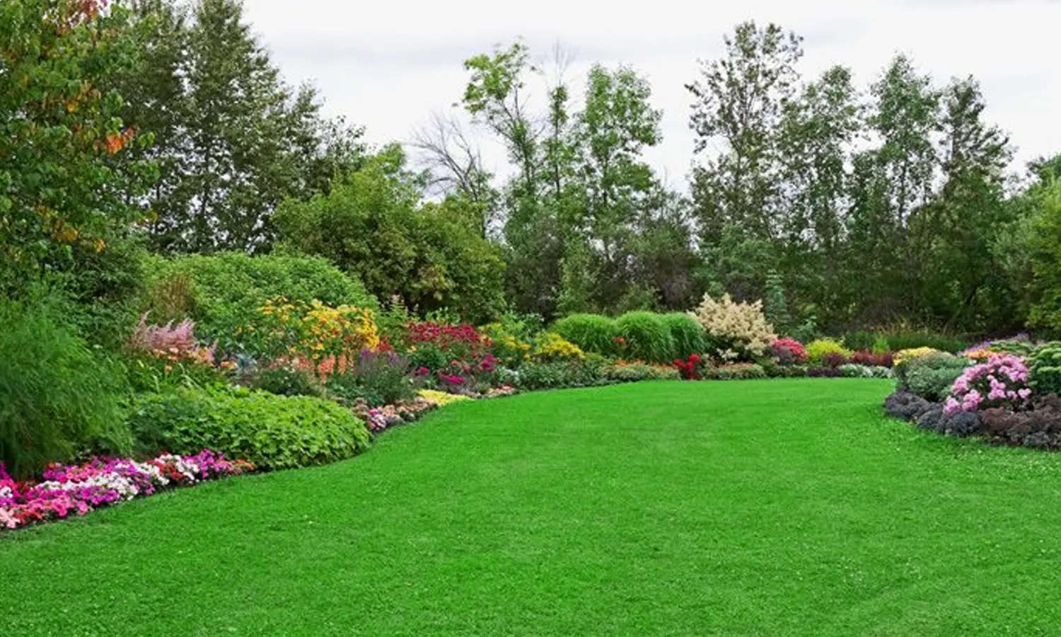 Park