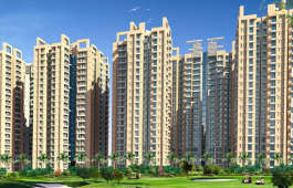 amrapali-augusta tower