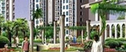 Amrapali Jaura Heights Techzone IV Greater Noida W