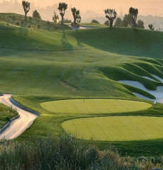 jaypee-sunnyvale homes