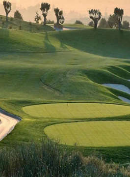 jaypee-sunnyvale homes