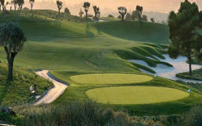 Jaypee Sunnyvale Homes Sector 19