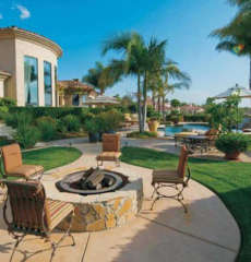 jaypee-bougainvilleas