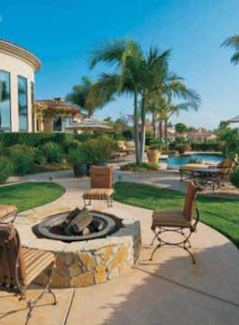 jaypee-bougainvilleas