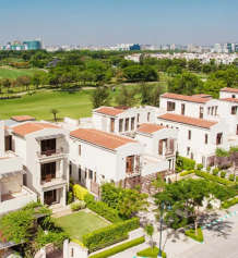 jaypee-bougainvilleas