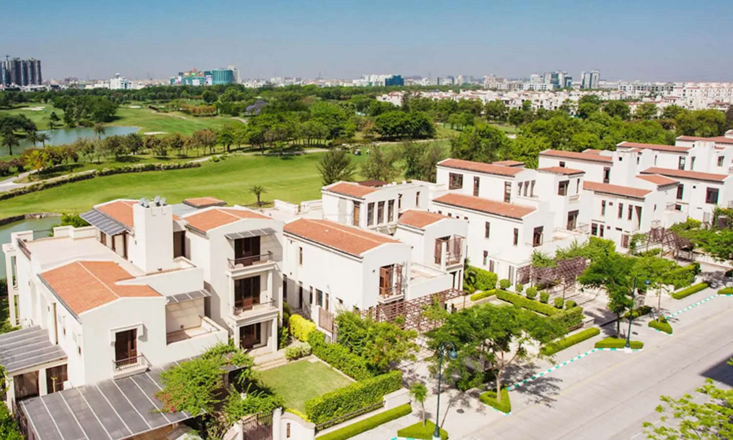 Jaypee Bougainvilleas