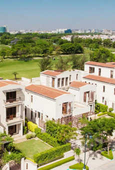 Jaypee Bougainvilleas